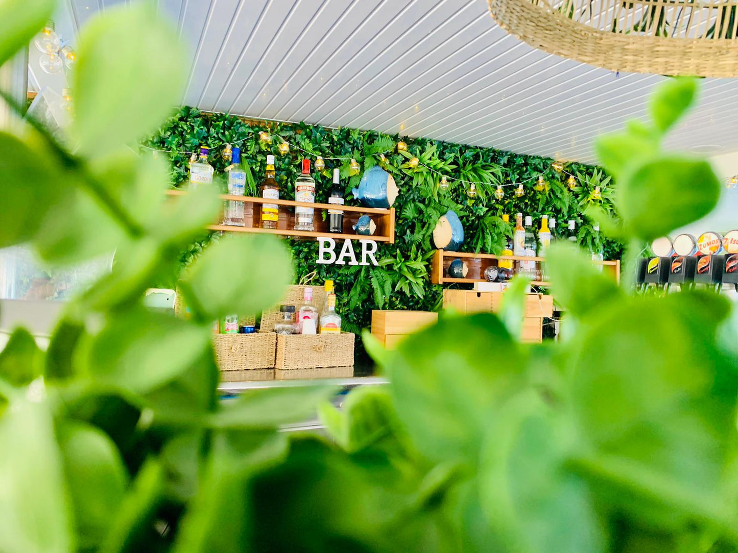 PACK DESPEDIDA FIESTA