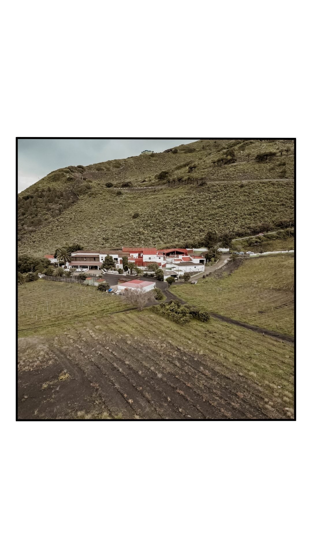 Visita y Cata de Vinos Canarios